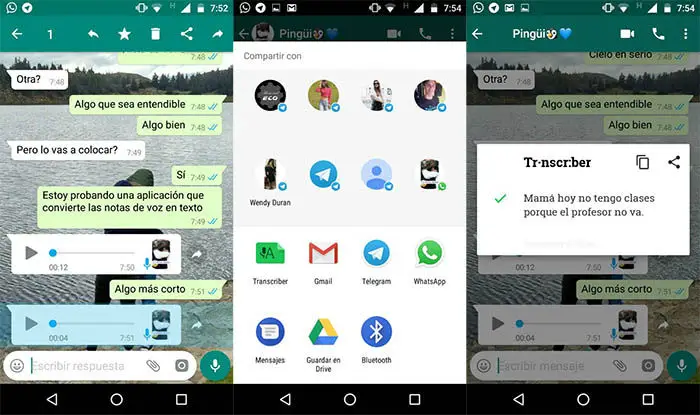 Transcriber-Captures für WhatsApp