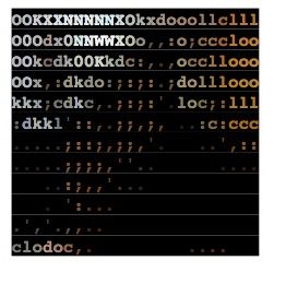 Foto-Instagram in ASCII konvertieren