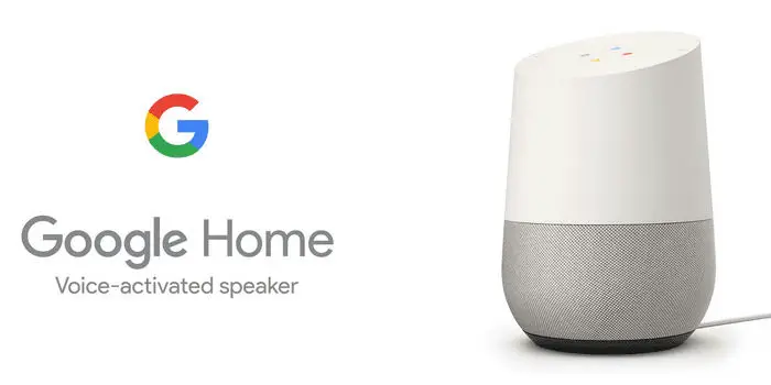 google home