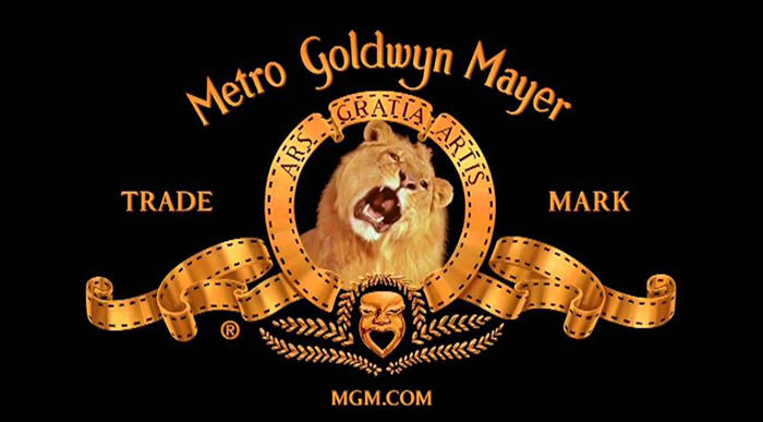 mgm Studien