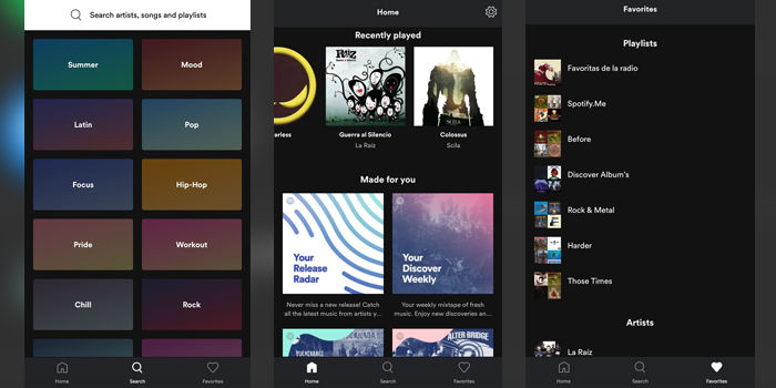 Spotify Lite Musikschnittstelle