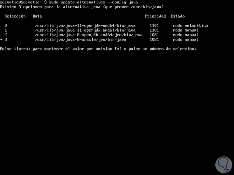install-Java-with-command-APT-de-Ubuntu-18.04-11.png