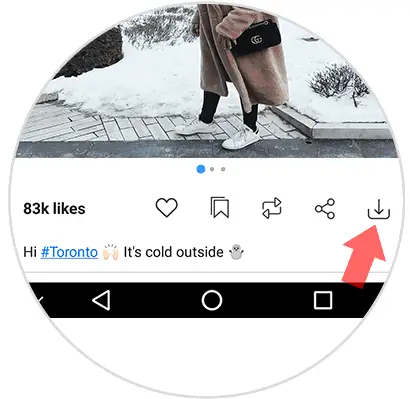 _descargar-fotos-o-vídeos-de-Instagram-ohne-pantallazo-2.png