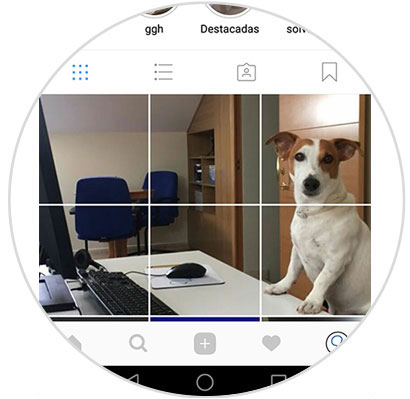 subir-una-foto-recortada-en-publicaciones-al-perfil-Instagram-6.jpg