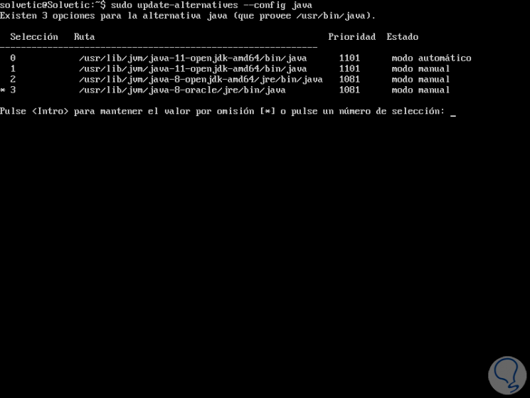 install-Java-with-command-APT-de-Ubuntu-18.04-10.png