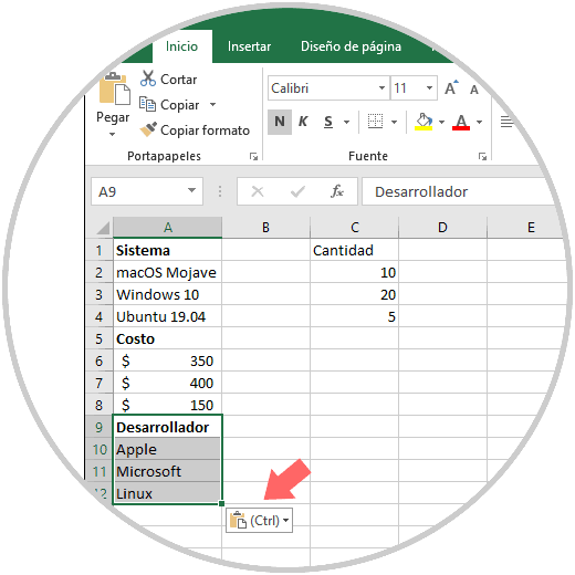 Kopieren Sie mehrere Zellen in die Datei Excel-2019, -2016-2.png
