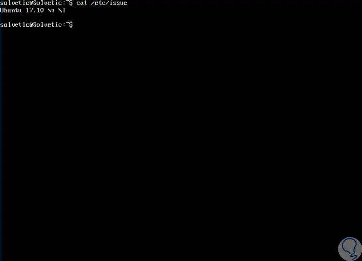 4-Sabre-Distributionsversion-Linux-using-the-command-etc-issue easy.png