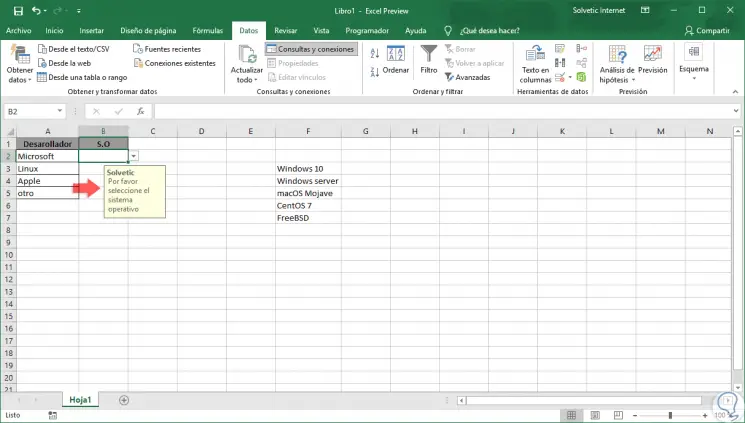 8-Anzeige-einer-Texteingabe-in-der-Drop-List-Excel-2019.png