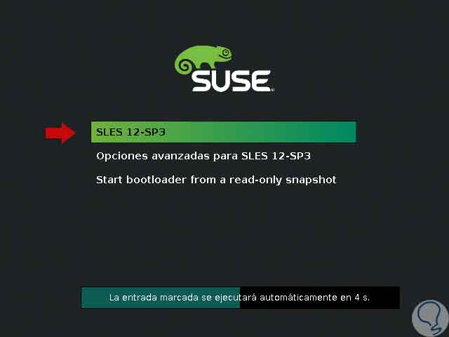 35-execute-suse-12.jpg