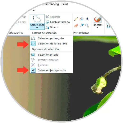 3-3-seleccion-transparente-paint.png