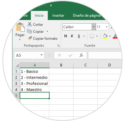 2 Erstellen einer Tabelle mit einer Liste von Optionen in Excel 2019.png