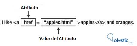 html-atributes.jpg
