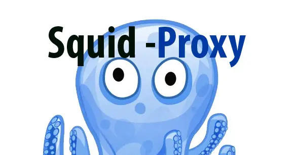 squid_proxy.jpg