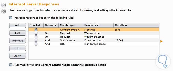 burpSuite7.jpg