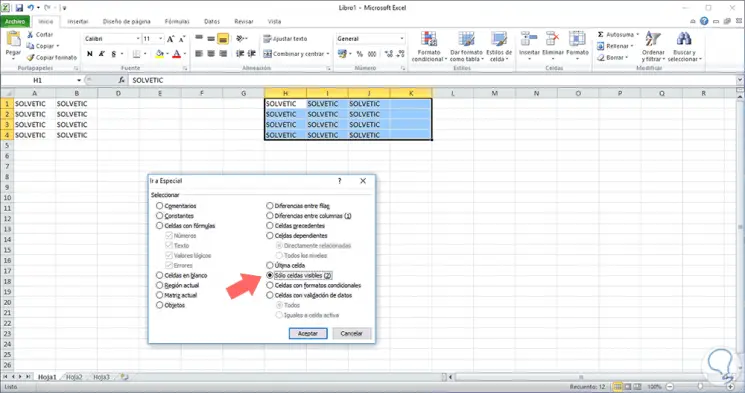3-excel-solo-celdas-visibles.png
