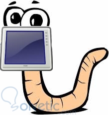 computer worm.jpg