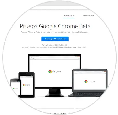 Installer-Offline-Beta-von-Google-Chrome.png