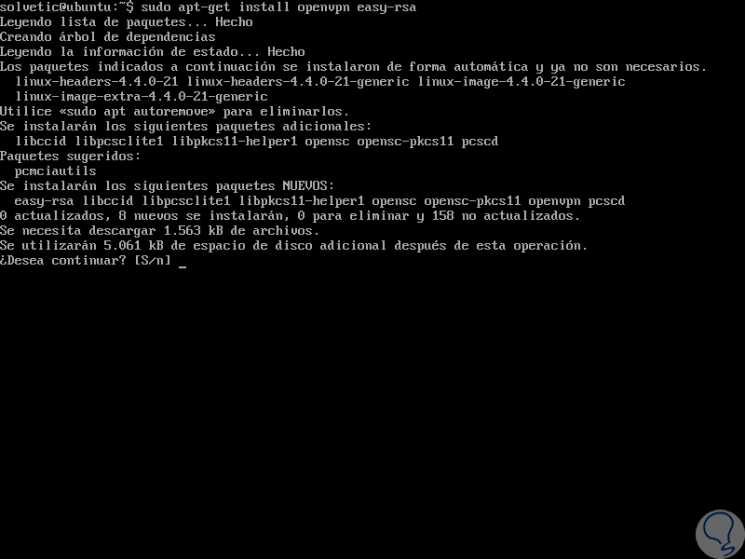 2-install-update-and-install-OpenVPN-de-Ubuntu-16.04.png