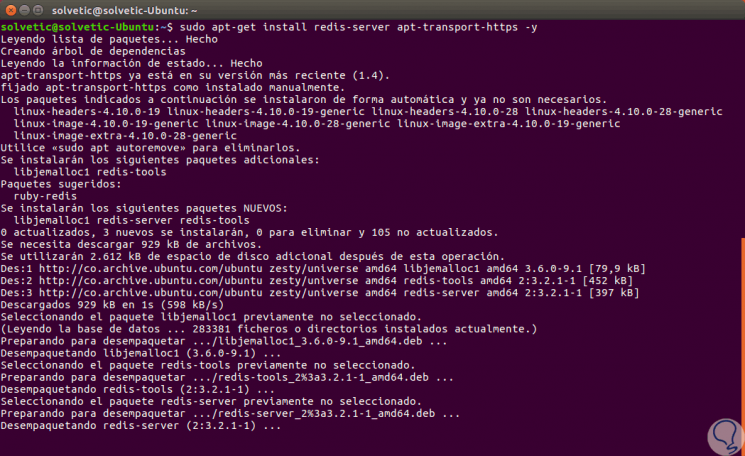 10-Install-the-Server-Redis.png