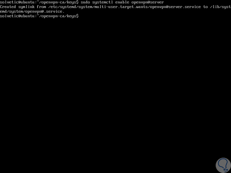 25-sudo-systemctl-enable-openvpn@server.png