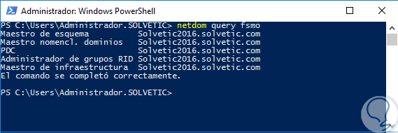 20-netdom-query-fsmo.png