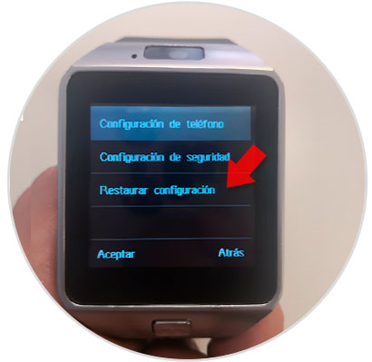 3-reset-smartwatch-dz09.jpg