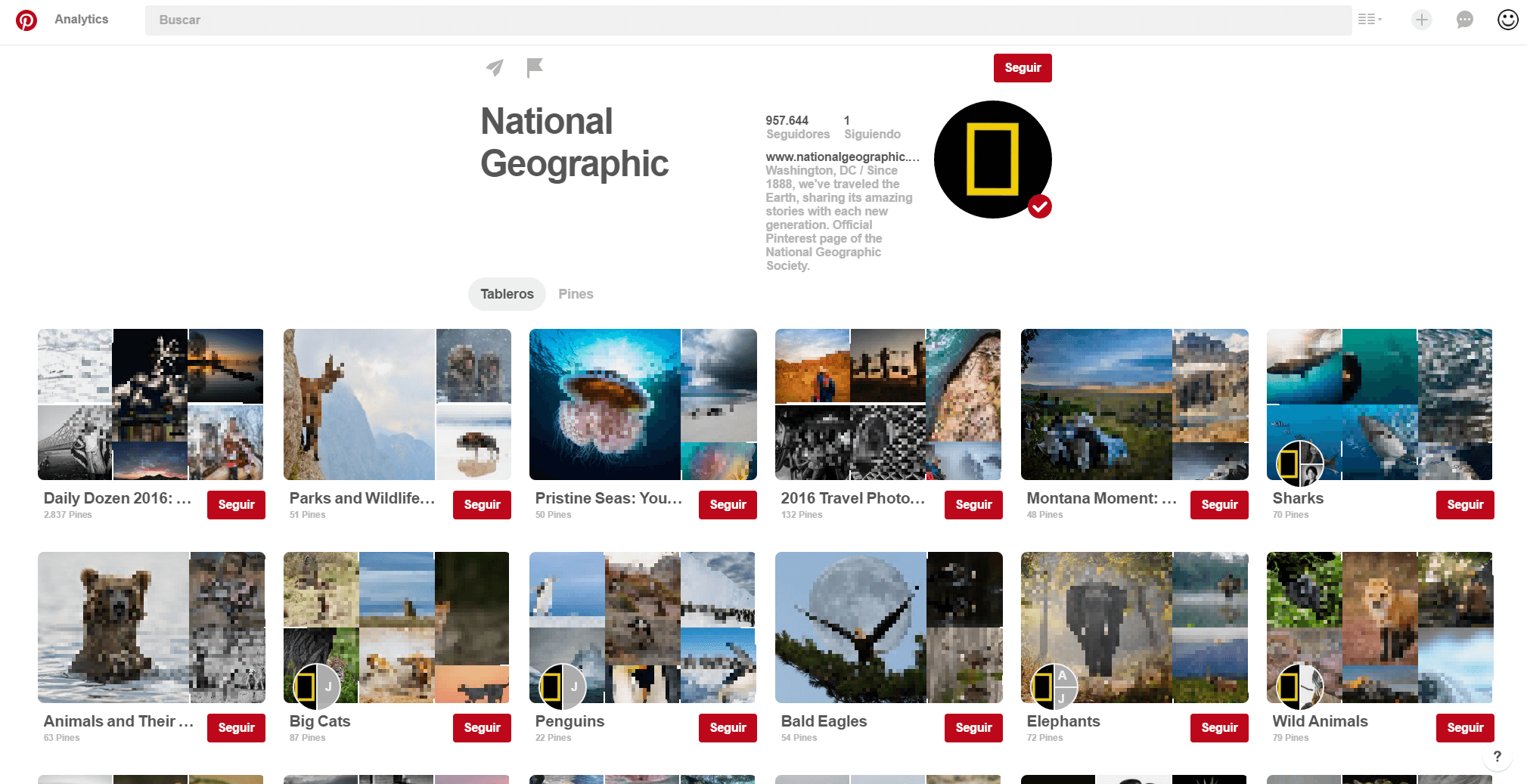 National Geographic Profile View auf Pinterest