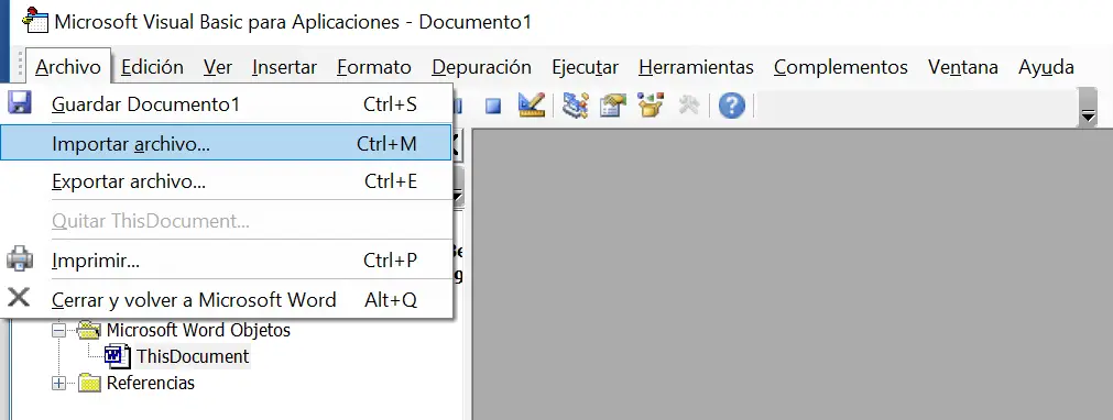 Option? Datei importieren? im Visual Basic-Editor